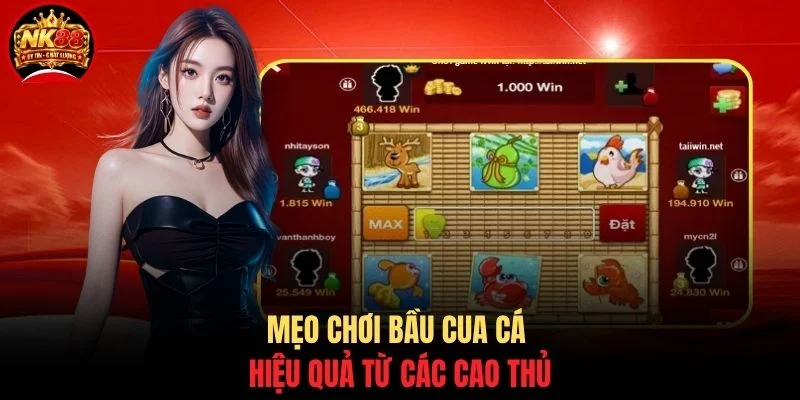 Bầu Cua Cá NK88 - Game Đỏ Đen Săn Thưởng Cực Hậu Hĩnh 4 Mẹo chơi bầu cua cá hiệu quả từ các cao thủ